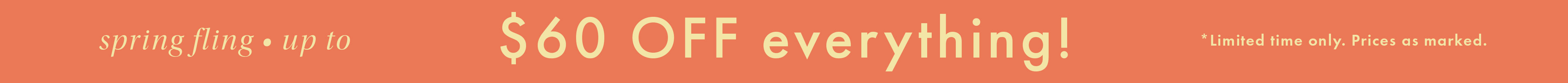 Promo banner image