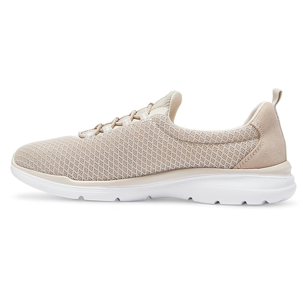 Quattro Sneaker in Beige Knit