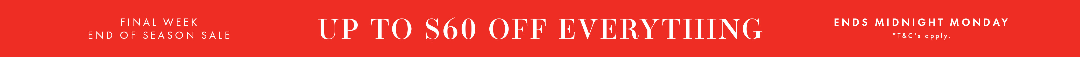 Promo banner image