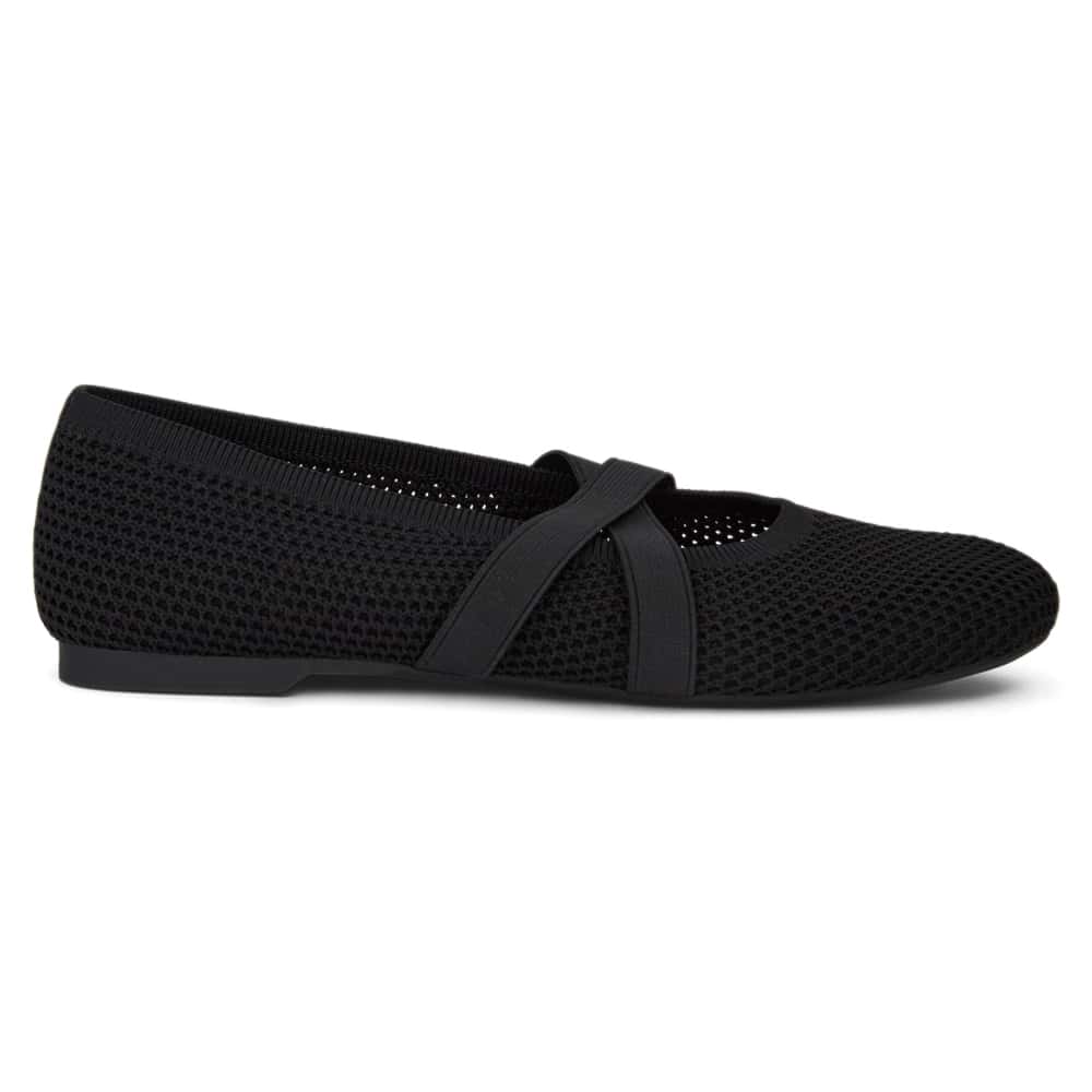 Danny Ballet Flat in Black