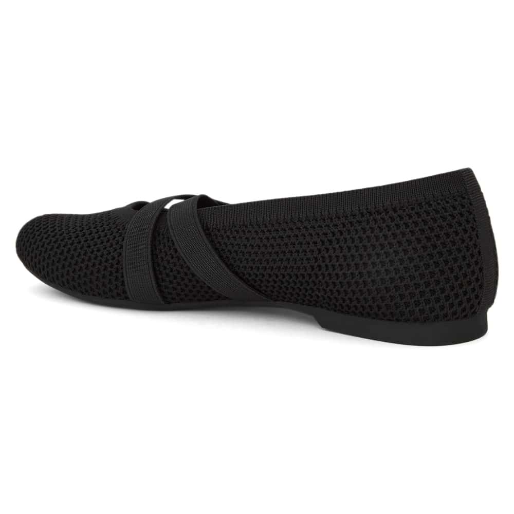 Danny Ballet Flat in Black