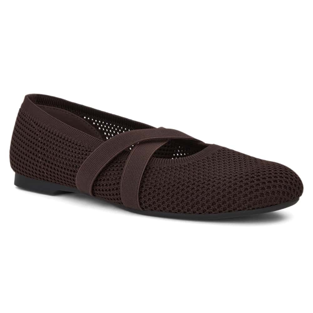 Danny Ballet Flat in Chocolate Knit