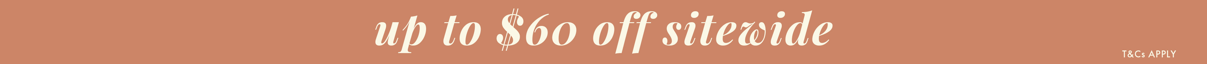 Promo banner image