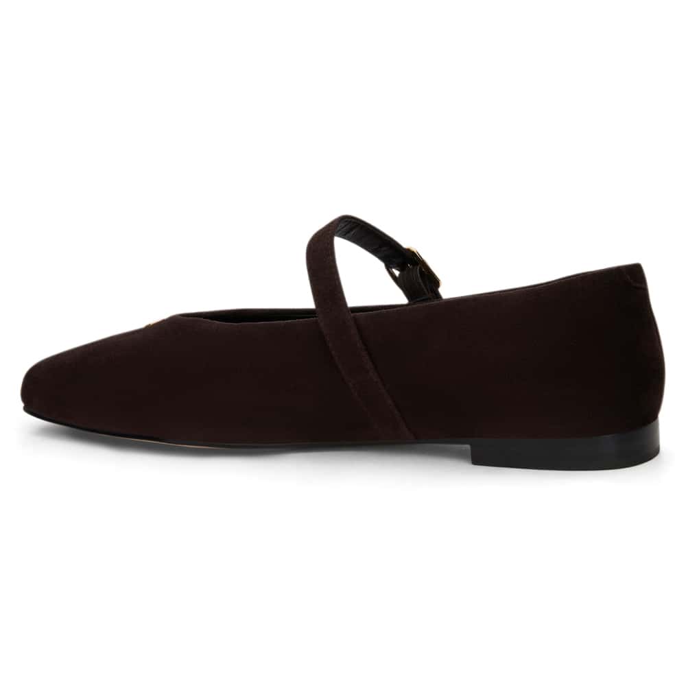 Pearl Ballet Flat in Chocolate  Suede
