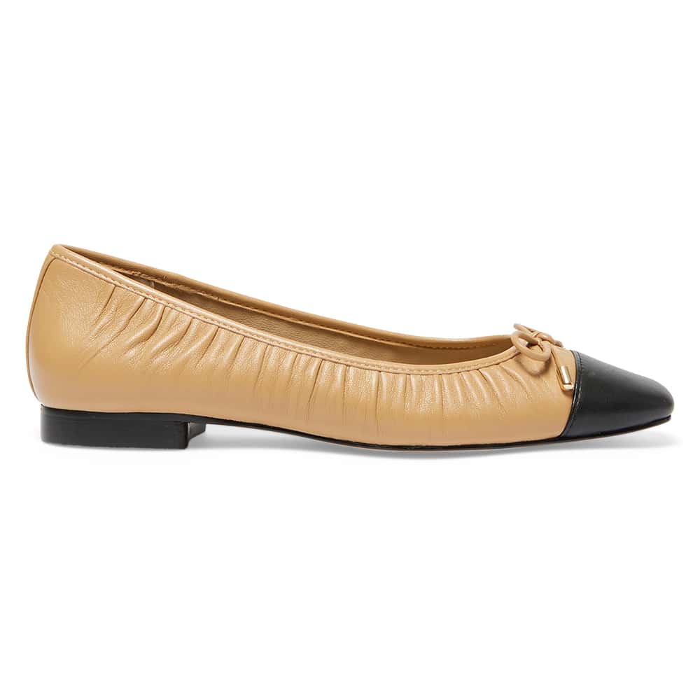 Fame Ballet Flat in Black And Camel Leather