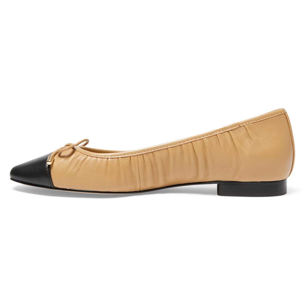 Fame Ballet Flat in Black And Camel Leather