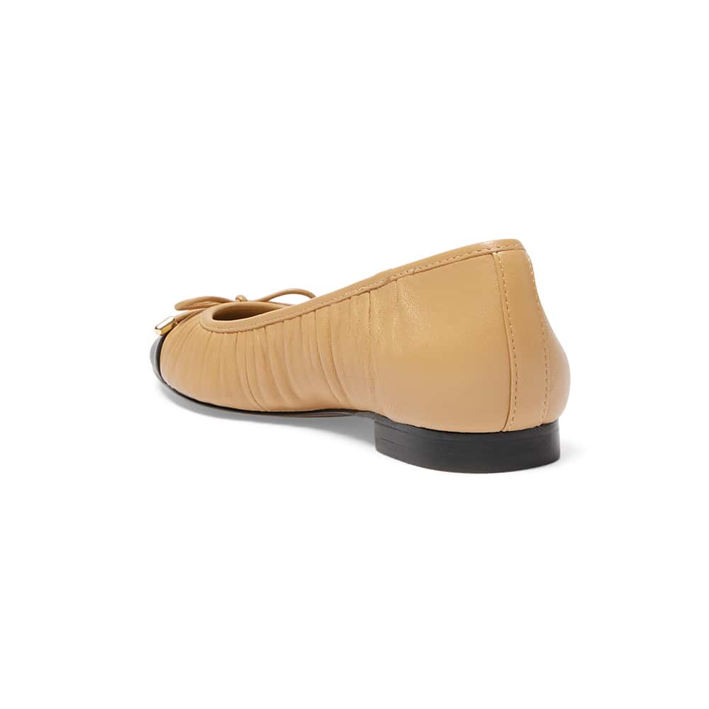 Fame Ballet Flat in Black And Camel Leather