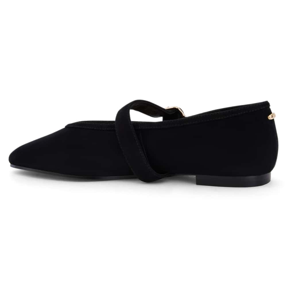 Tenor Ballet Flat in Black Suede