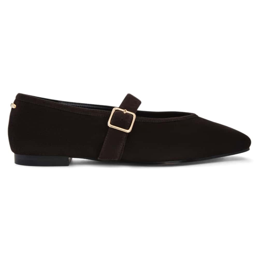 Tenor Ballet Flat in Chocolate  Suede