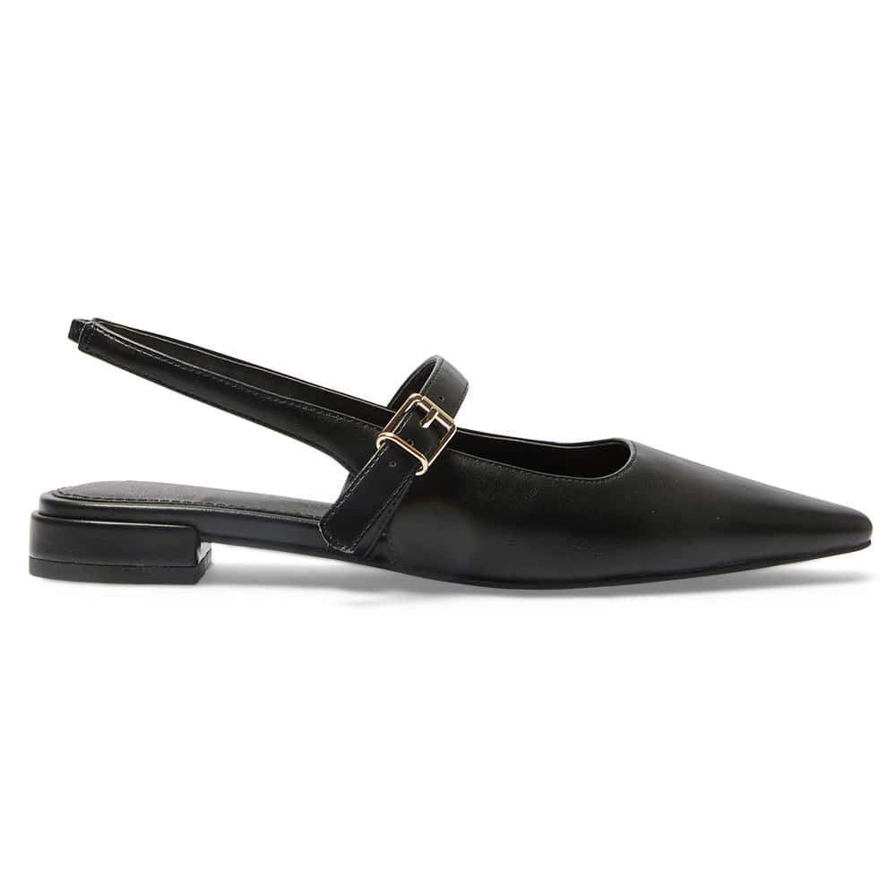 Bianca Ballet Flat in Black Smooth