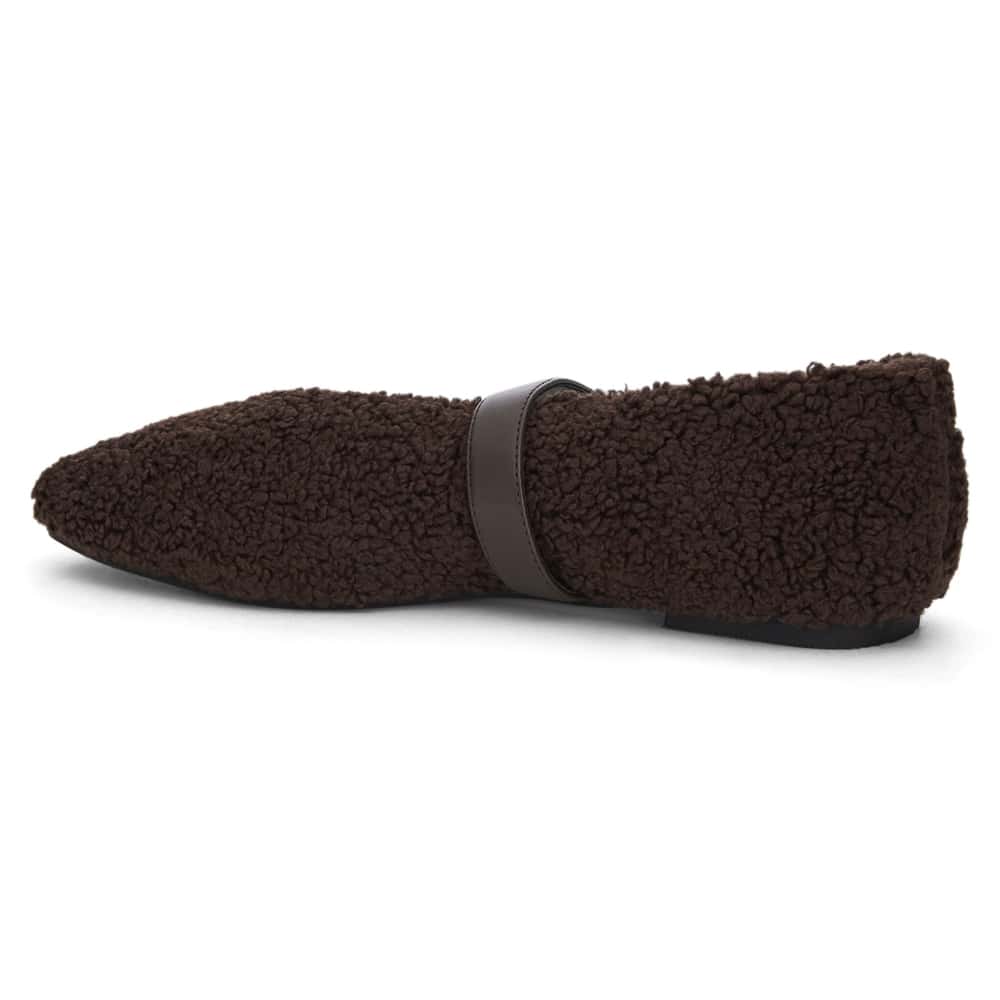 Plume Ballet Flat in Chocolate