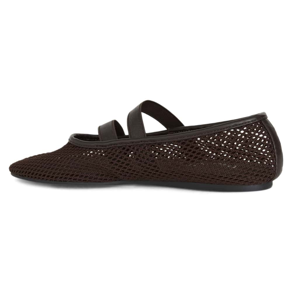 Rexa Ballet Flat in Chocolate  Mesh