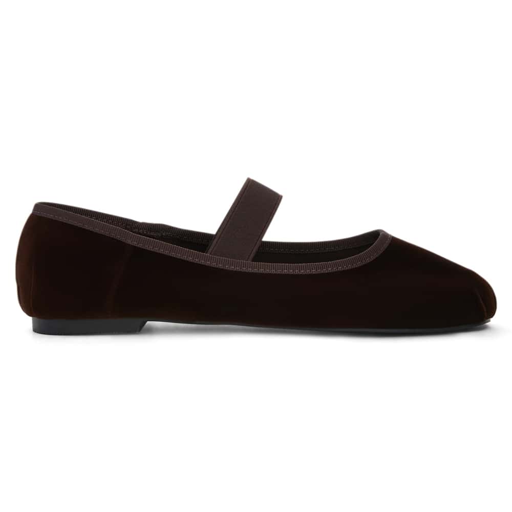 Roxana Ballet Flat in Chocolate Velvet