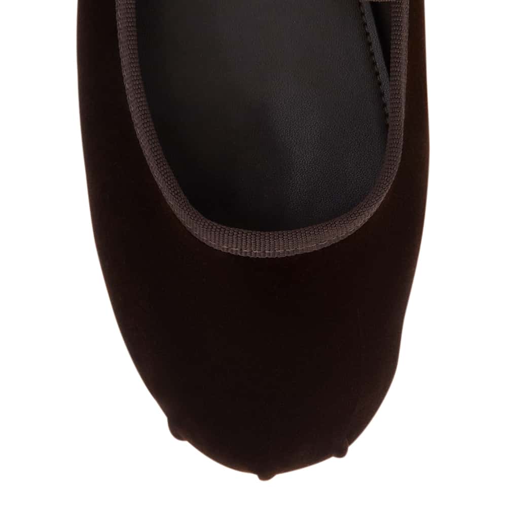 Roxana Ballet Flat in Chocolate Velvet
