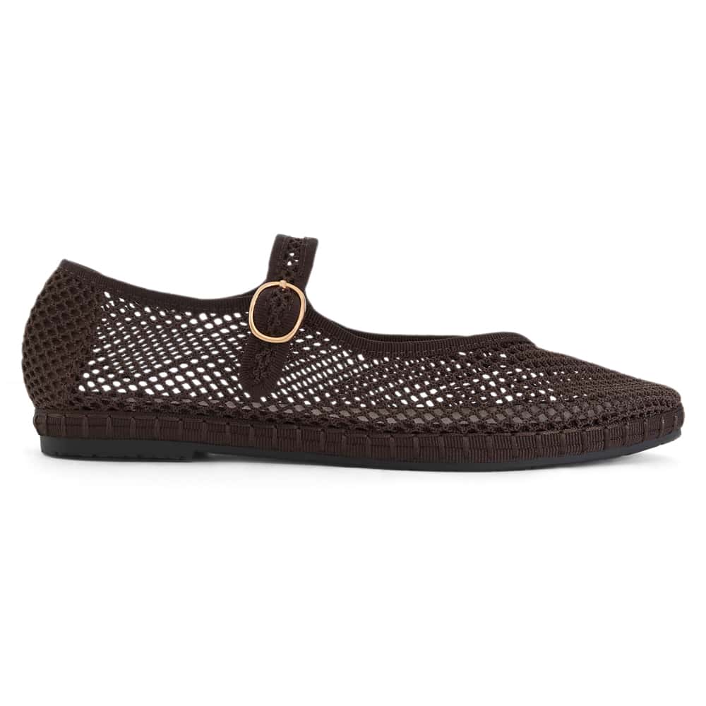 Sandra Ballet Flat in Chocolate  Mesh