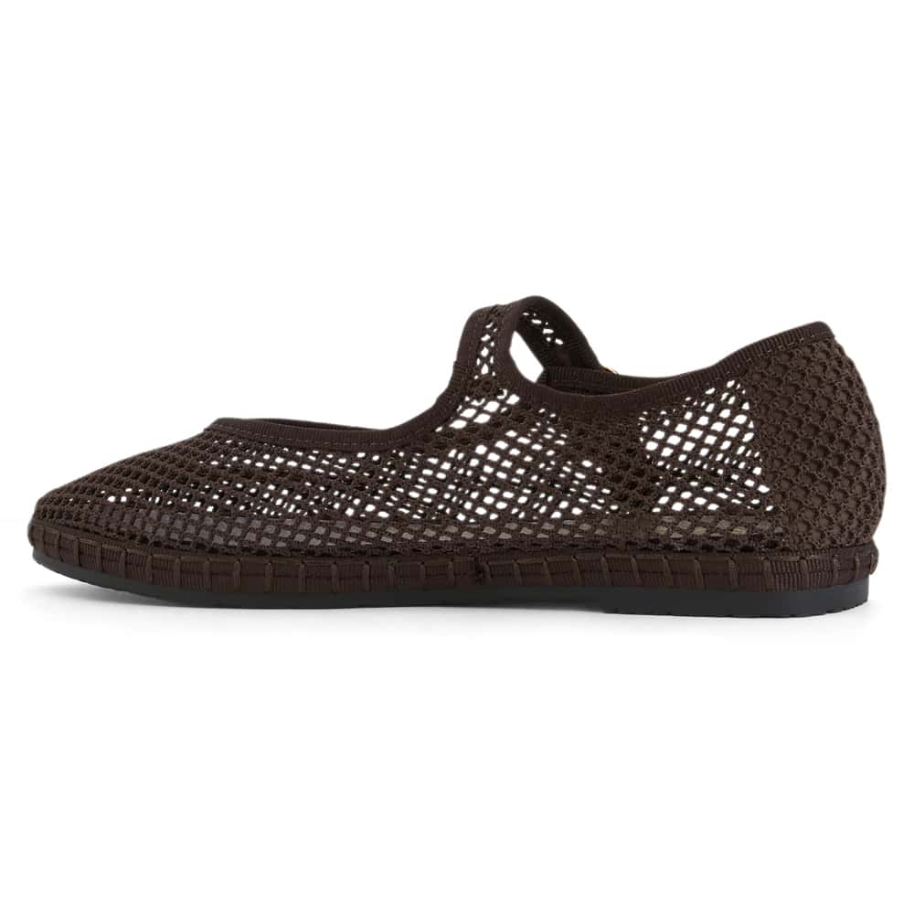Sandra Ballet Flat in Chocolate  Mesh