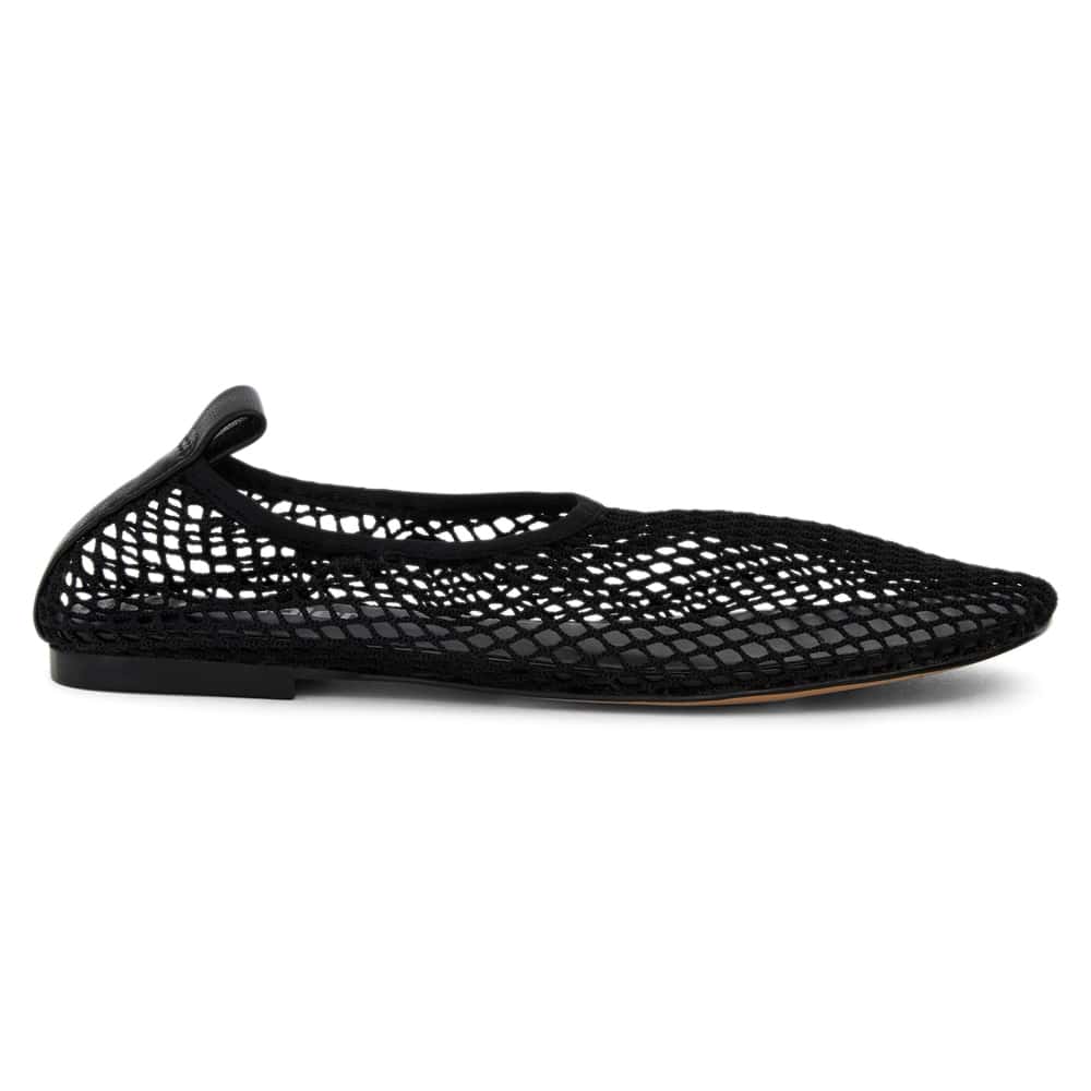 Gabi Ballet Flat in Black Mesh
