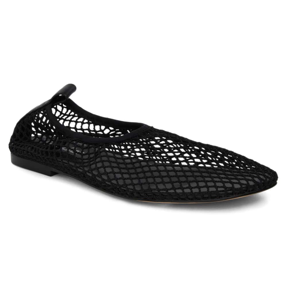 Gabi Ballet Flat in Black Mesh