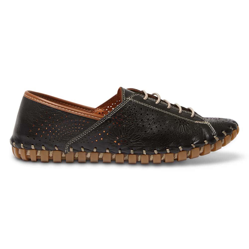 Talan Brogue in Black And Tan Leather