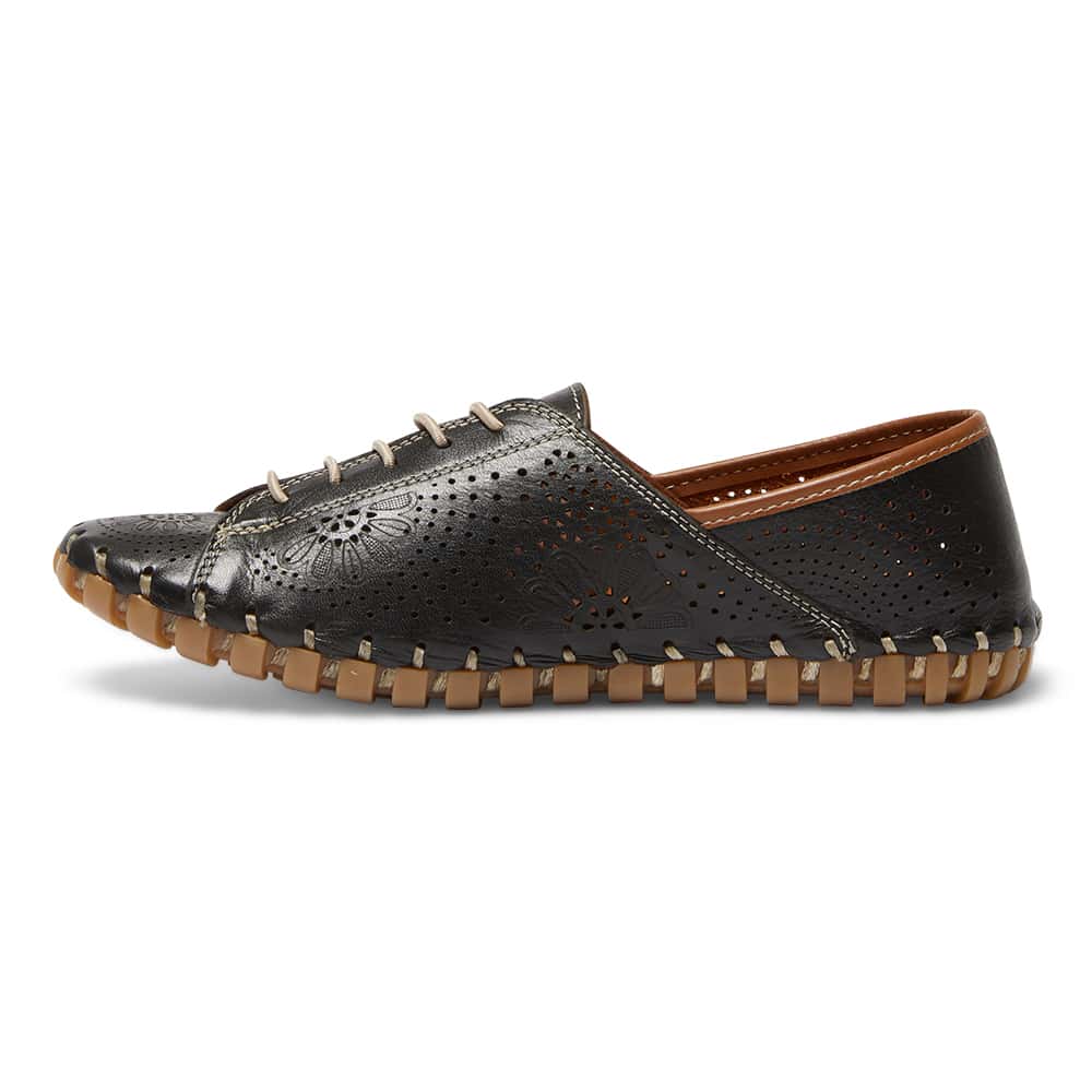 Talan Brogue in Black And Tan Leather