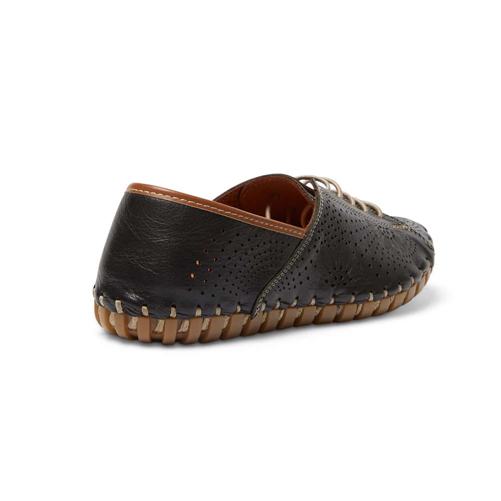 Talan Brogue in Black And Tan Leather