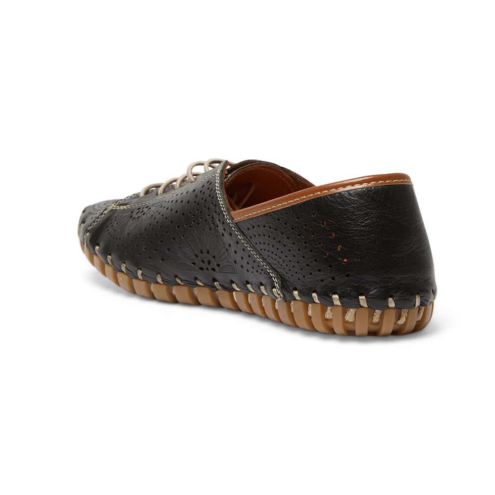 Talan Brogue in Black And Tan Leather