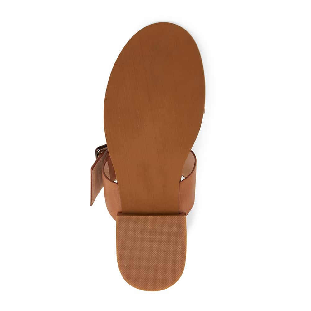 Tanya Slide in Tan Leather