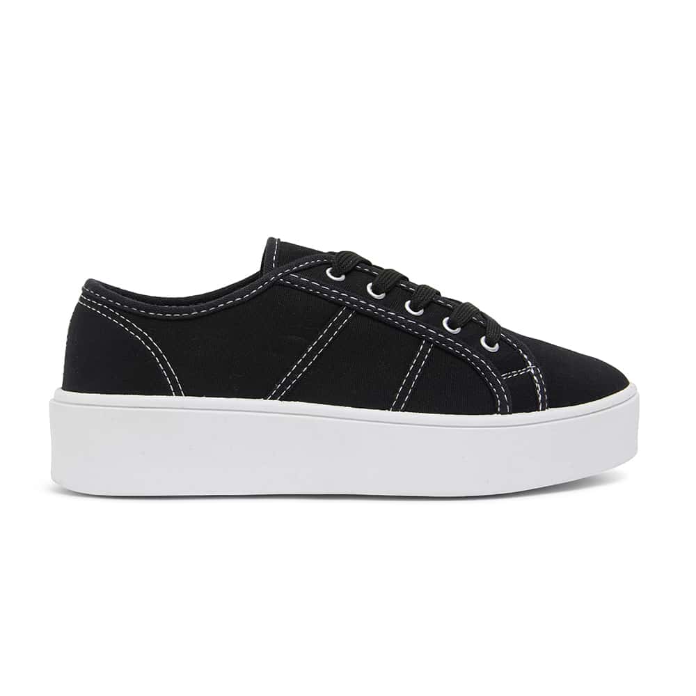 Adam Sneaker in Black Canvas