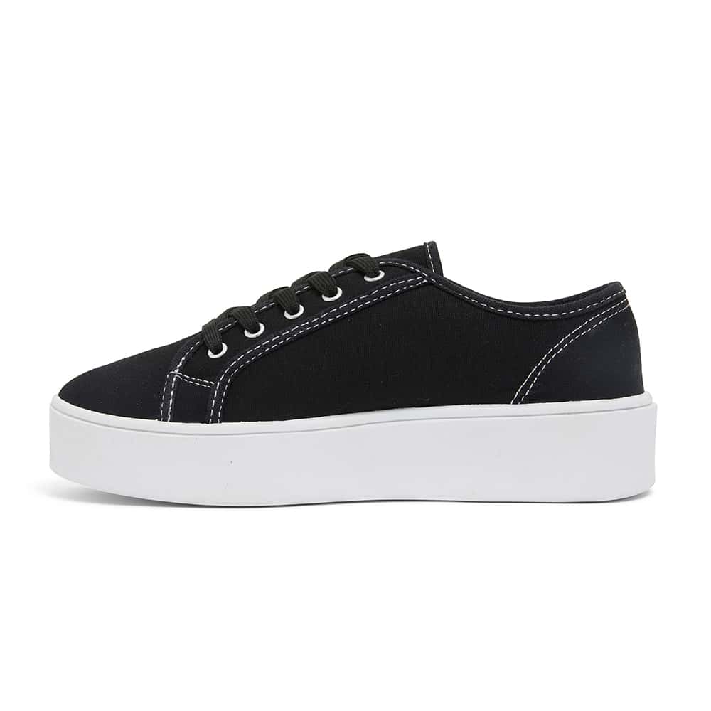 Adam Sneaker in Black Canvas