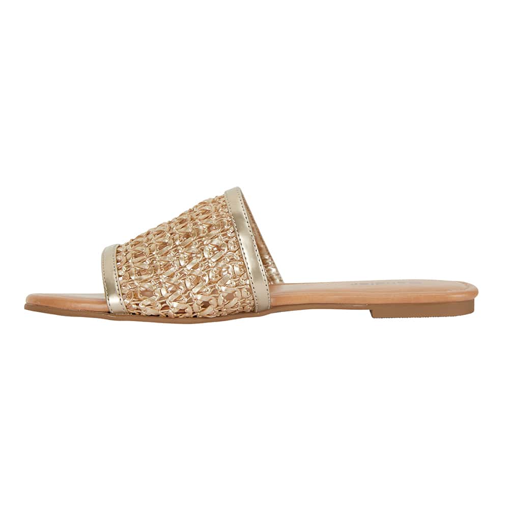 Ditto Slide in Soft Gold Smooth