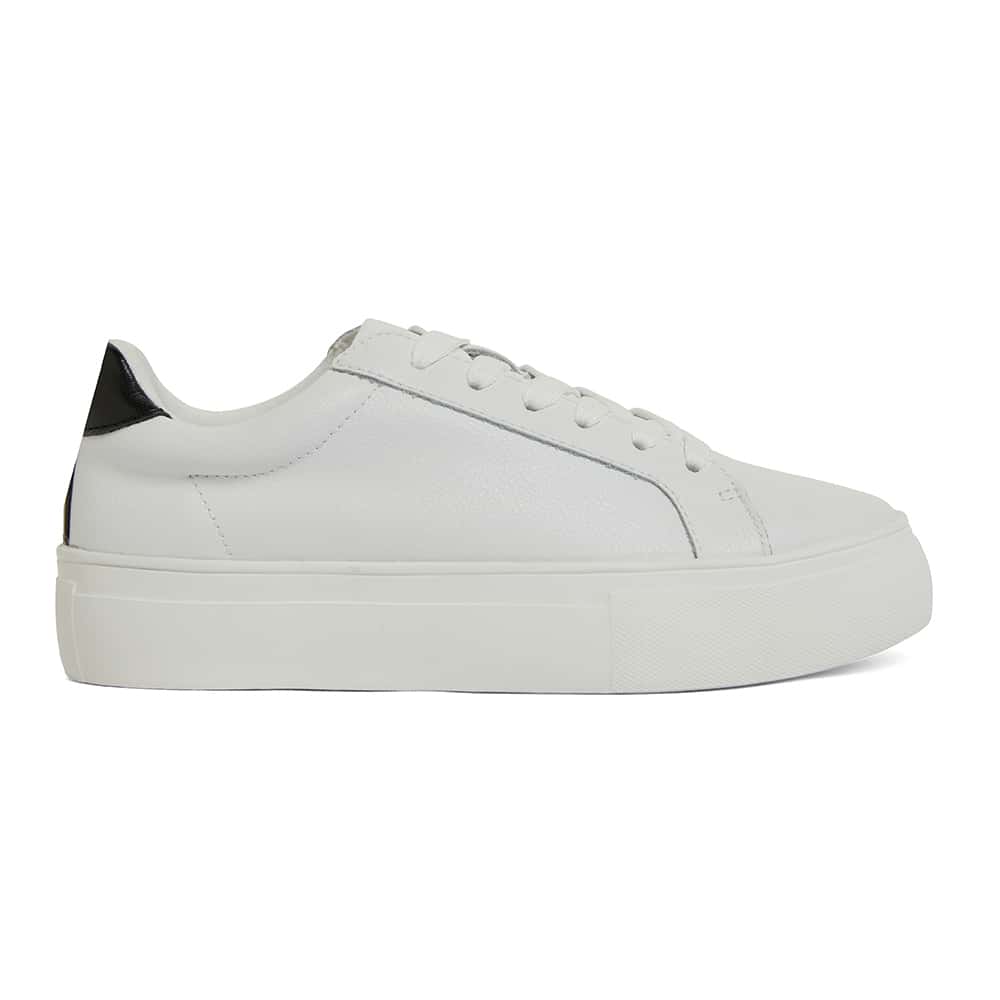 Frenzy Sneaker in White & Black Leather | Sandler | Shoe HQ