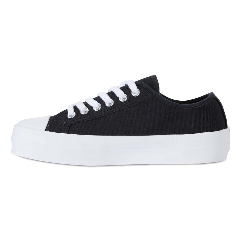 Stacey Sneaker in Black Canvas