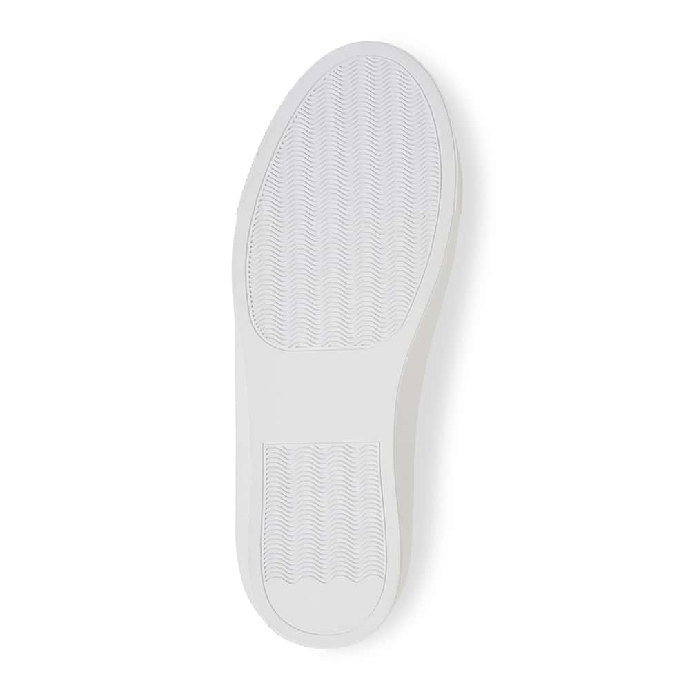 Stark Sneaker in White & Snake Print Leather | Sandler | Shoe HQ